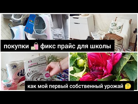 Видео: ЗАКУПКА ФИКС ПРАЙС К ШКОЛЕ 1 ЧАСТЬ 😅 УРОЖАЙ РАСТЕТ