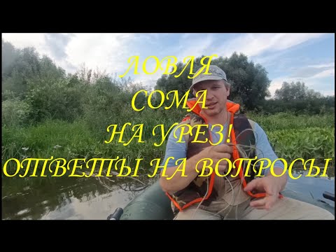 Видео: Ловля Сома на Урез \ Ответы на Вопросы \ #квок #сом #сомнаквок