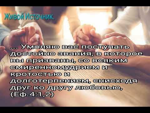 Видео: Смиренномудрие, кротость, долготерпение... Еф.4:2