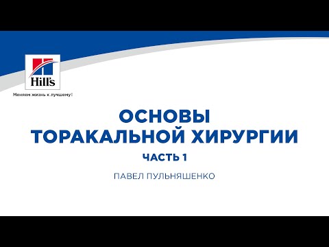 Видео: Вебинар на тему: “Основы торакальной хирургии.” Часть 1. Лектор Павел Пульняшенко.