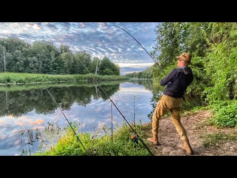 Видео: Нічна Рибалка на СОМА! Ловля СОМА на ДИКІЙ РІЧЦІ на печінку!