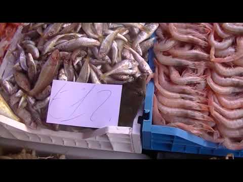 Видео: Какую рыбу едят на СИЦИЛИИ: рыбный РЫНОК, площадь Дуомо КАТАНИЯ их ИТАЛИЯ Pescheria Italy Sicily