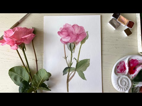 Видео: Рисуем вместе каждый день. Акварельная Роза