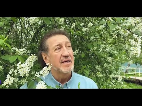 Видео: Премьера! Олег Митяев -"Аннушка" (Клип)