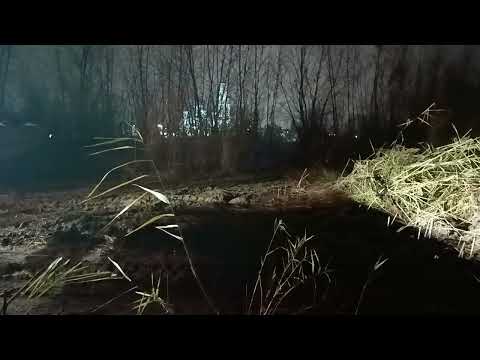 Видео: Застрял в болоте