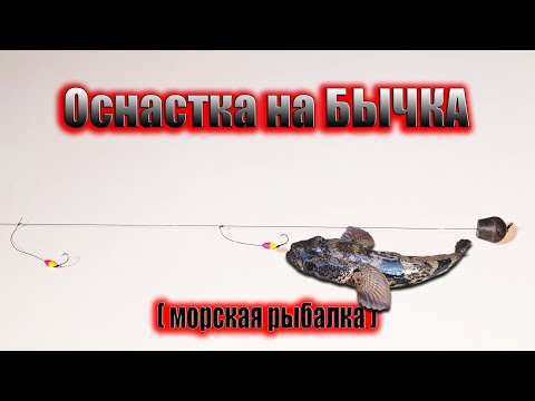 Видео: Снасть на морского бычка с поплавком