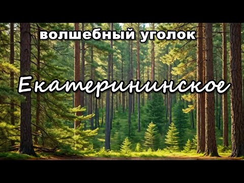 Видео: Волшебный уголок в сосновом бору: Екатерининское