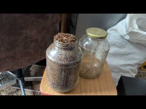 Видео: Ферментация Табака 