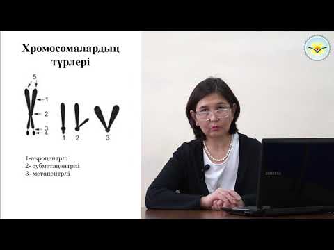 Видео: Сабақтың тақырыбы: Хромосоманың құрылысы және қызметі