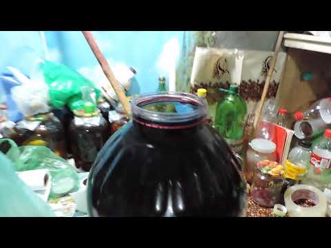 Видео: РАСЦВЕЛА ВИНО.ЧЕМ СПАСТИ. СНИМАЕМ ВИНО 19ГОДА С ОСАДКА И СОБИРАЕМ ВИННЫЙ КАМЕНЬ ДЛЯ НАСТОЕК.