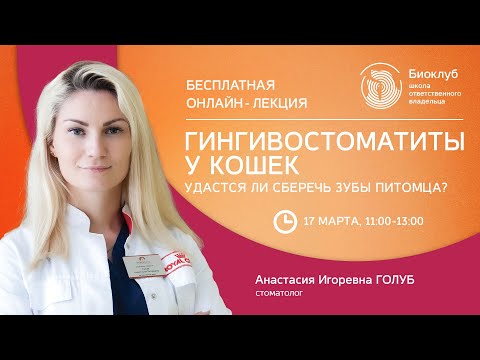Видео: Гингивостоматиты у кошек