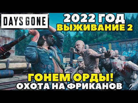 Видео: Days Gone(Жизнь После) - Гоняем Орды в 2022 году! Выживание 2!
