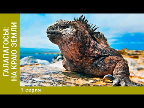 Видео: Галапагосы: На краю земли. 1 Серия. Документальный Проект. Лучшие фильмы