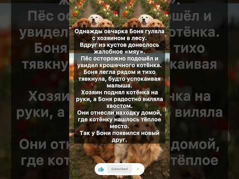 Видео: Верный пёс и потерявшийся котёнок #собака #щенок #собакаприколы #dog #puppy #funnydog