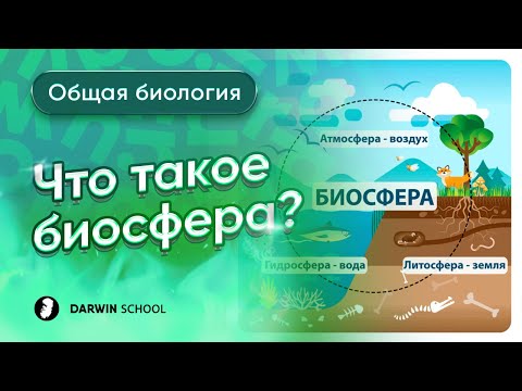 Видео: Что такое биосфера?