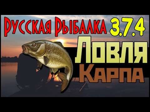 Видео: Русская Рыбалка 3.7.4 - Ловля Карпа