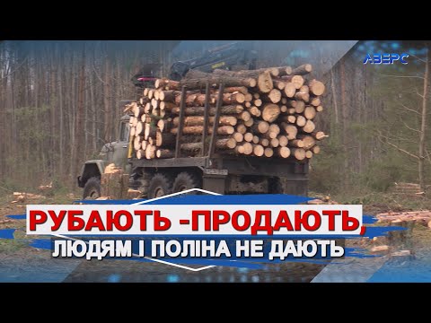 Видео: На Волині приватна фірма вирубує ліс під поле