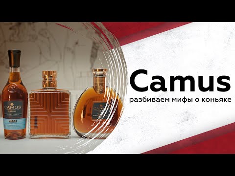 Видео: Camus: разбиваем мифы про коньяк