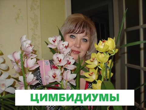 Видео: 🥀🥀ЦИМБИДИУМ - условия содержания, ОБЗОР, полив, состав грунта, ПЕРЕСАДКА  09.06.25🥀🥀