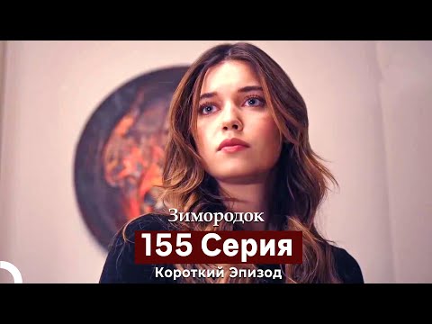 Видео: Зимородок 155 Cерия (Короткий Эпизод) (Русский дубляж)
