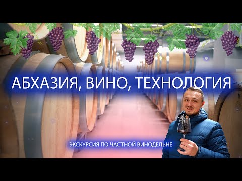 Видео: Абхазия, Вино, Технология/Экскурсия по частной винодельне Аргун Иашта