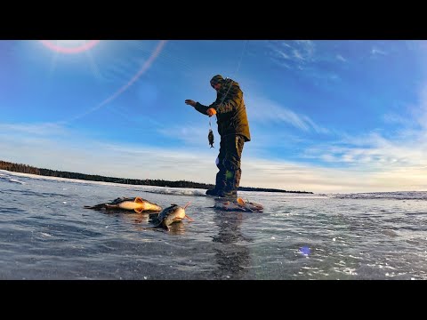 Видео: РЫБАЛКА.НОЧУЕМ НА ОСТРОВЕ .ОБМЫВАЕМ СНЕГОХОД YAMAHA.