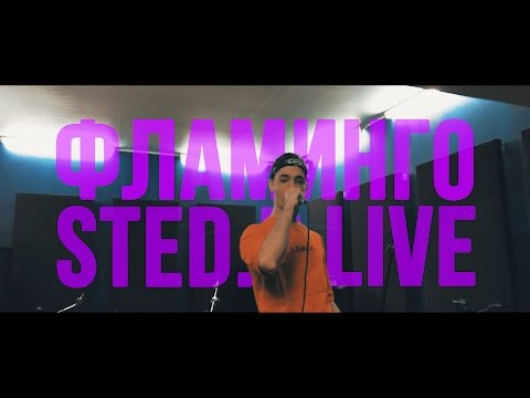 Видео: STED.D - ФЛАМИНГО (LIVE)