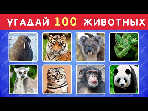 Видео: УГАДАЙ ЖИВОТНОЕ ЗА 3 СЕКУНДЫ  🐱🐺🐷🐮🦝 УГАДАЙ 100 ЖИВОТНЫХ