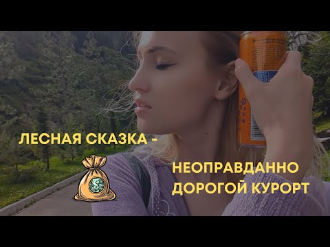 Видео: Лесная сказка - обман с автобусом 🤬 странный отдых, но красивая природа 💫