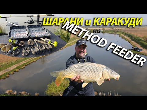 Видео: Шарани и Каракуди на Method Feeder - Method Feeder Tactics for Carp