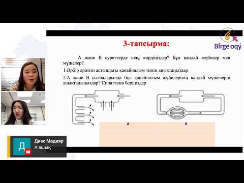 Видео: Биология сабағы. Тақырыбы: Жануарлардың қанайналым мүшелері