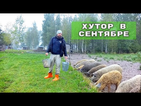 Видео: ОБЗОР ХОЗЯЙСТВА НА ХУТОРЕ В СЕНТЯБРЕ