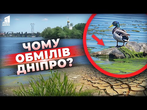 Видео: Річка різко обміліла! Що сталося з Дніпром? Що кажуть науковці?