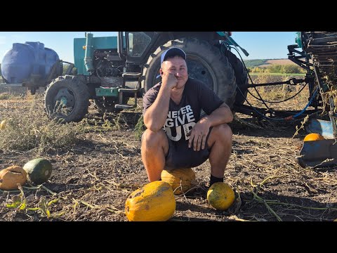 Видео:  Нарешті молотимо гарбузи . Все пішло не по плану 