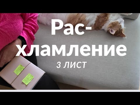 Видео: Минима-лист учится на ошибках , проверка заданий и 3 зелёный лист