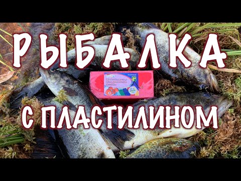 Видео: На Рыбалку Без Пластилина Не Хожу! Смотрите почему.