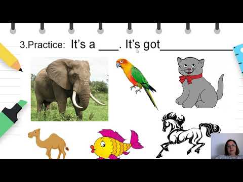 Видео: IV одделение - Англиски јазик - Вежби со опишување на животни