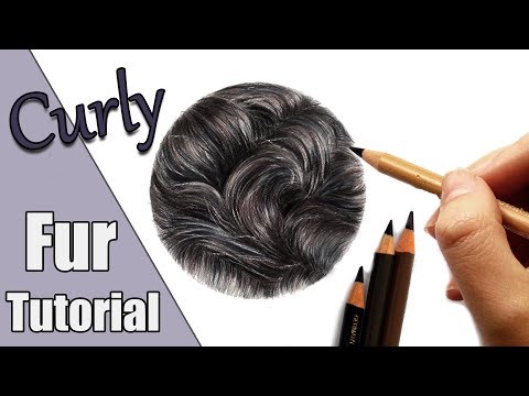 Видео: Как нарисовать черную кудрявую шерсть цветными карандашами!