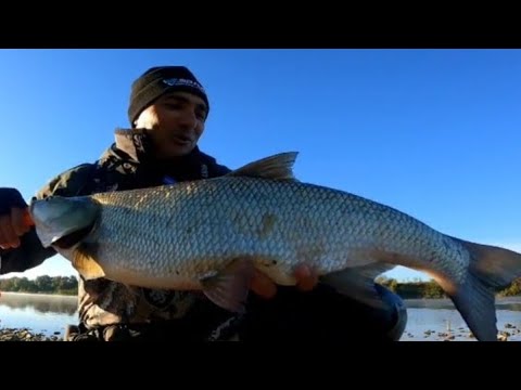 Видео: СПАСИБО🙏 ОКА! За Прекрасного КОНЯ! Рыбалка на Спиннинг. Район Ступино. #NEKFiSh 