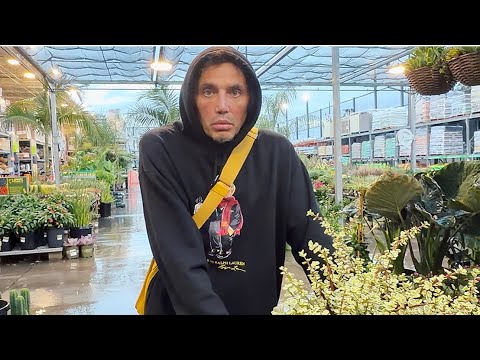 Видео: И кактусы по 60 долларов .