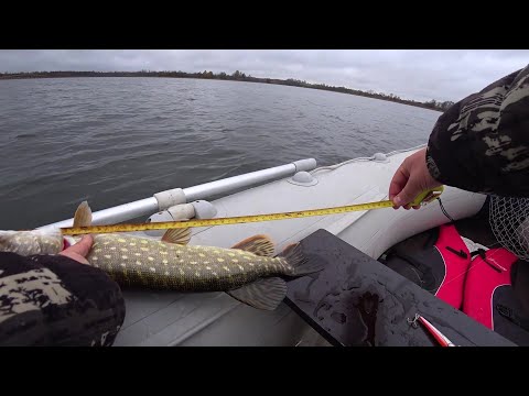 Видео: НАКОНЕЦ-ТО ЩУКА НАЧАЛА КЛЕВАТЬ! ОСЕННИЙ ТРОЛЛИНГ В НОЯБРЕ!
