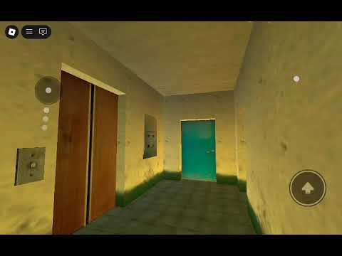 Видео: 12 ноября 2025 г.