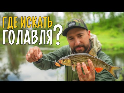 Видео: ГДЕ ИСКАТЬ ГОЛАВЛЯ на малых реках? Рыбалка в незнакомом месте.