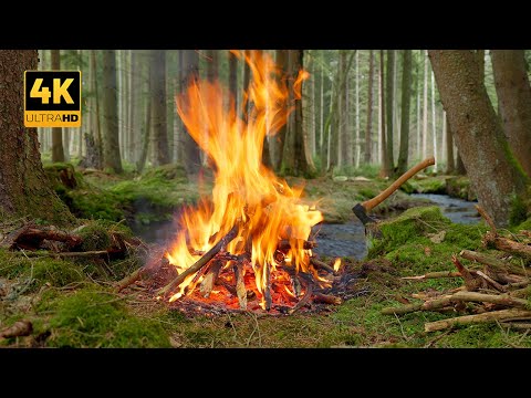 Видео: 4K 📺 Весенний лесной костер - звуки пения птиц, ручья и потрескивания огня