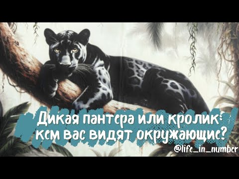 Видео: ВЫ ГЛАЗАМИ ОКРУЖАЮЩИХ 🔍