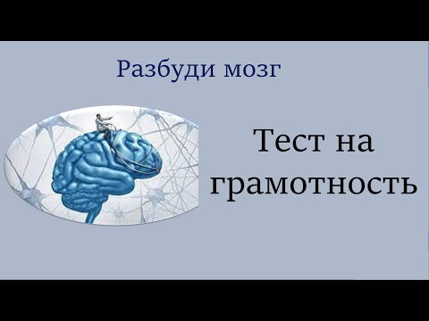 Видео: Русский язык. Тест на грамотность. Разбуди мозг! Видеоурок