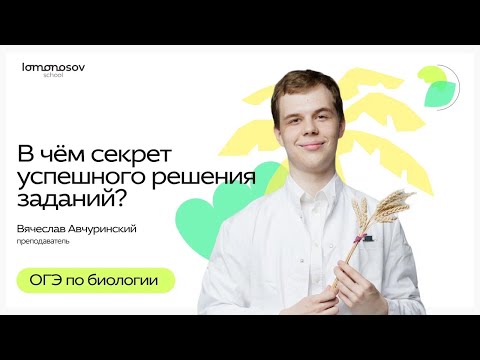 Видео: В чём секрет успешного решения заданий?