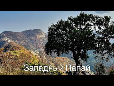 Видео: Гора Западный Папай.