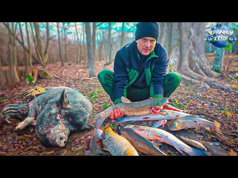 Видео: Свинья бросила поросят и сбежала в лес. Реакция птицы на зеркало. Обновление мебели. Копчение рыбы