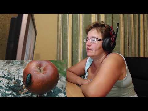 Видео: РЕАКЦИЯ МАМЫ НА [ЛАРИН — ТЕКСТ ПЕСНИ]